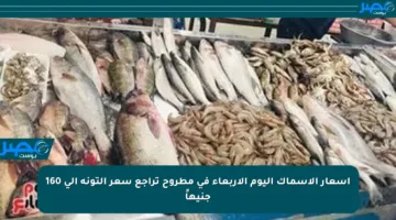 أسعار الأسماك اليوم الأربعاء في مطروح تراجع سعر التونة إلى 160 جنيهاً